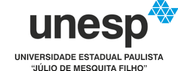 Universidade Estadual Paulista São José do Rio Preto SP