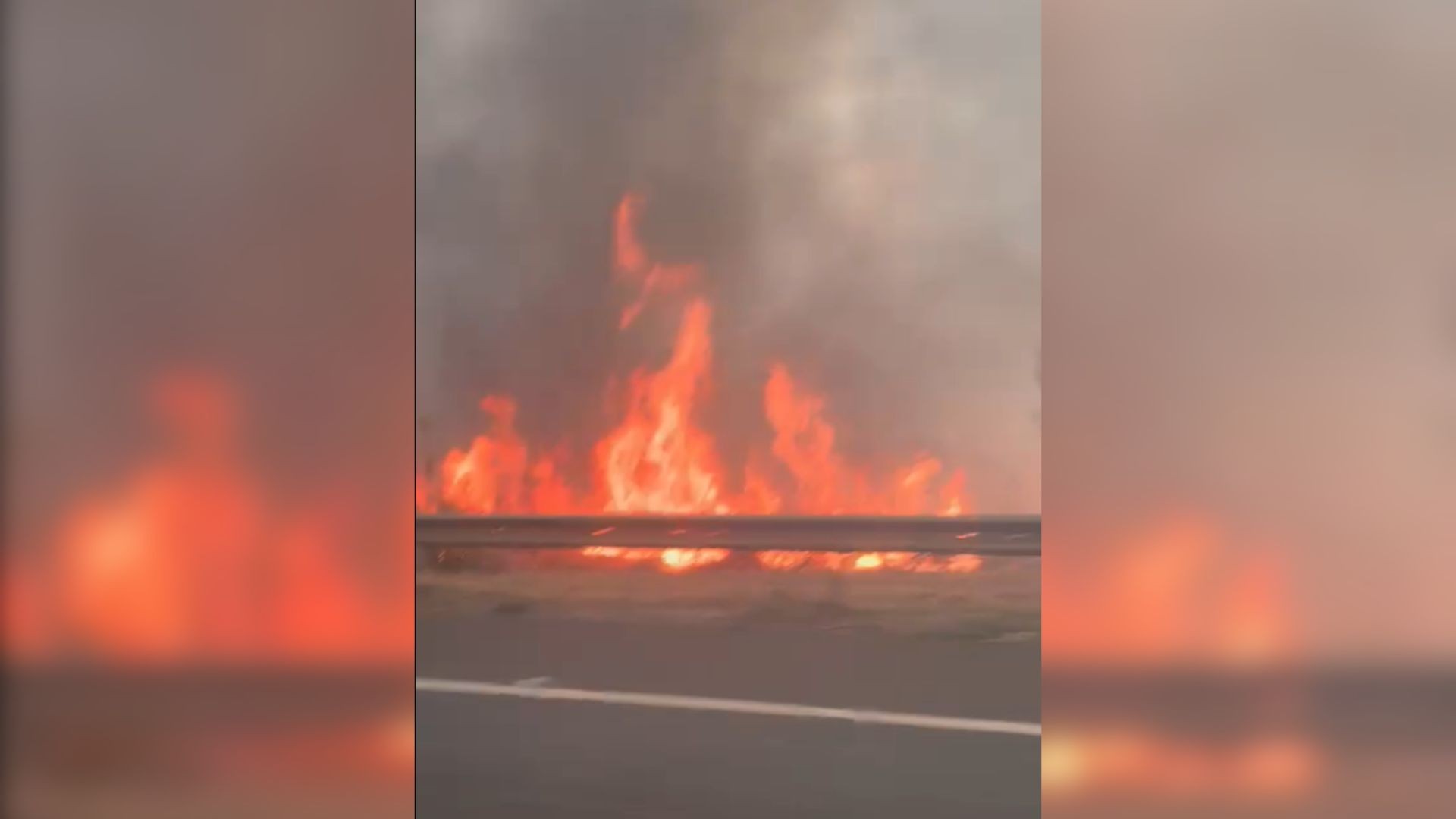 foto Notícia São José do Rio Preto