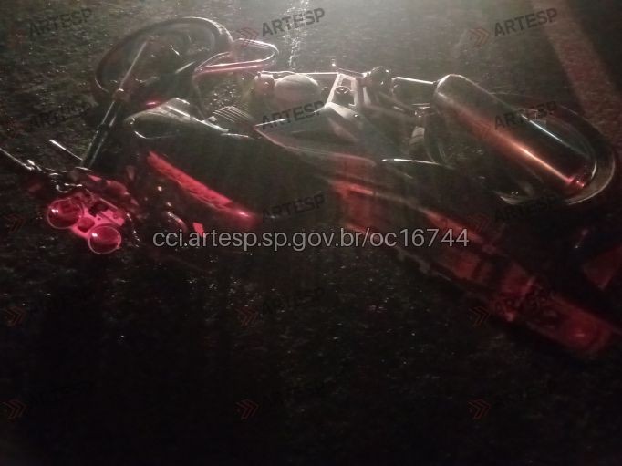 foto Notícia São José do Rio Preto