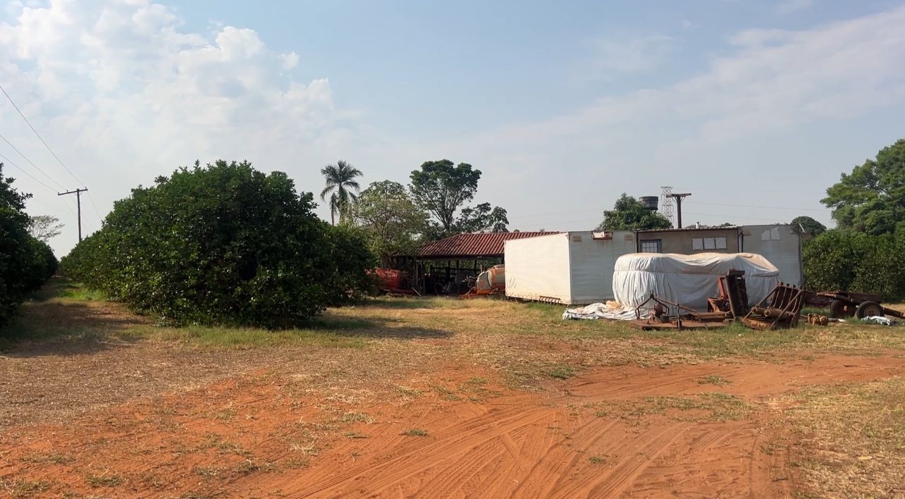 foto Notícia São José do Rio Preto
