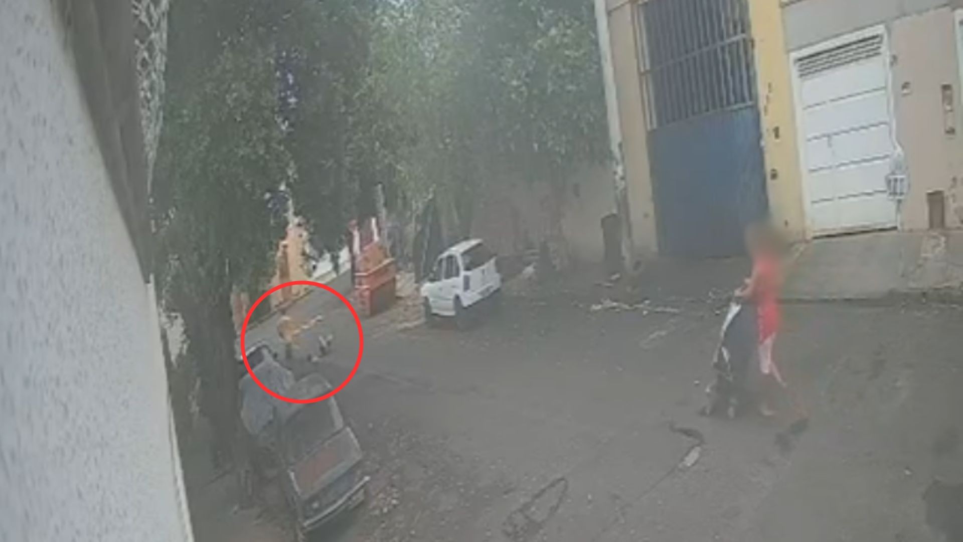 foto Not&iacute;cia São José do Rio Preto