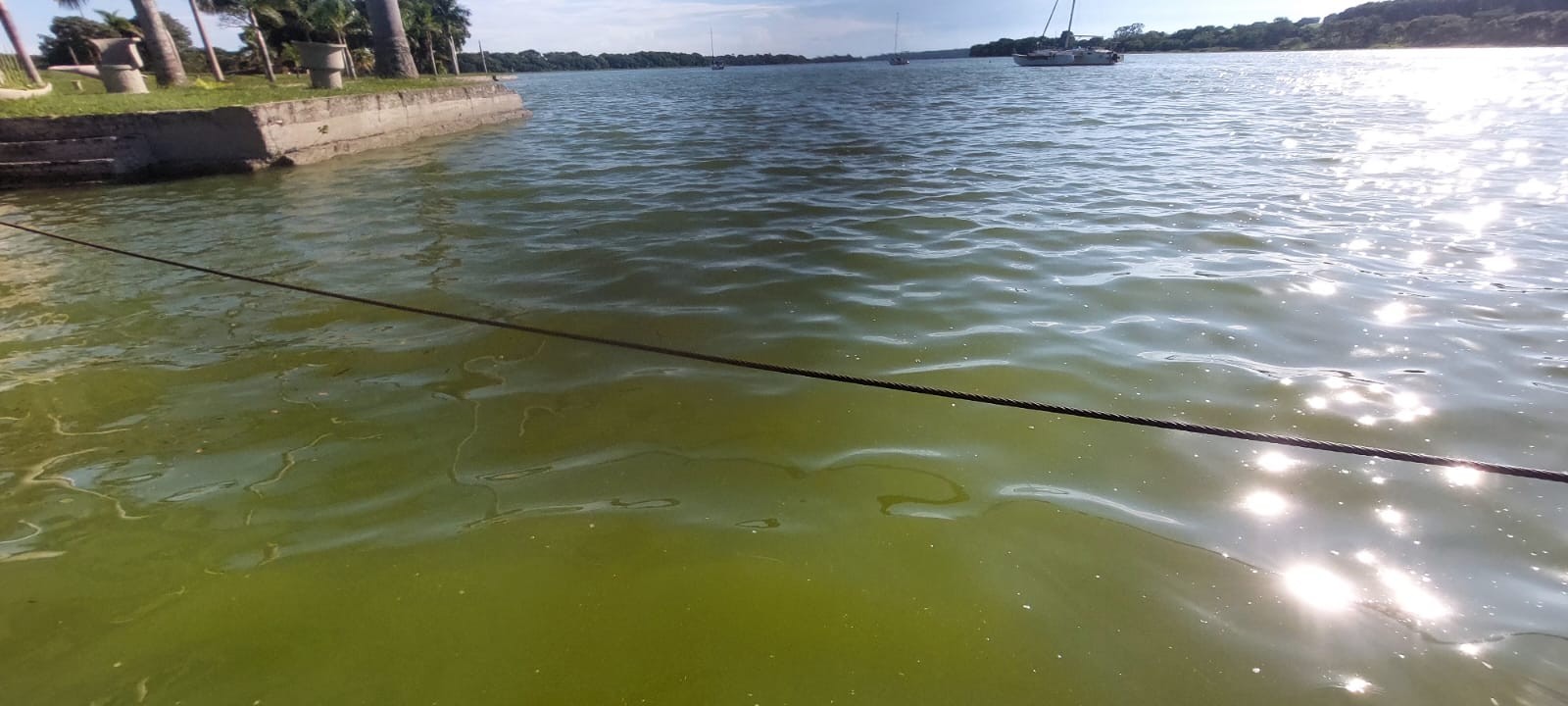 foto Not&iacute;cia São José do Rio Preto